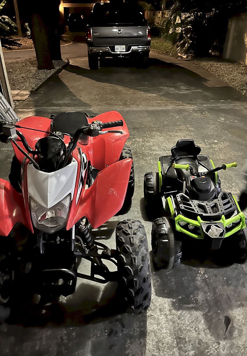 WolfpackATV SLD31 (1)